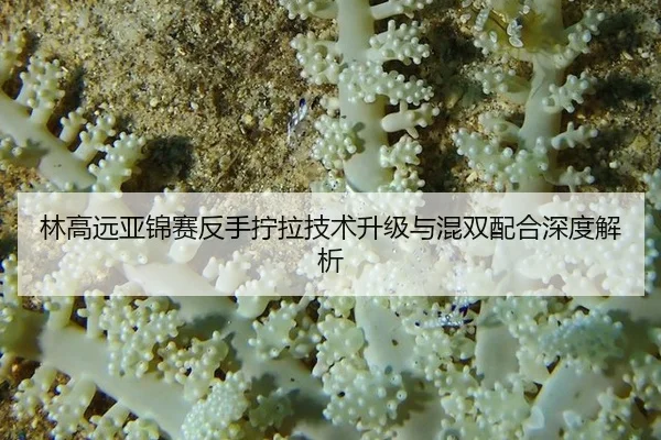 林高远亚锦赛反手拧拉技术升级与混双配合深度解析