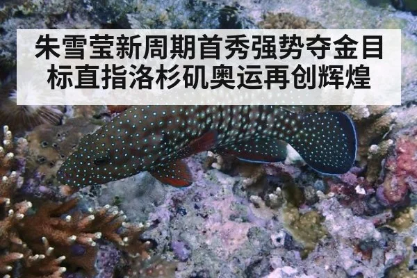 朱雪莹新周期首秀强势夺金目标直指洛杉矶奥运再创辉煌