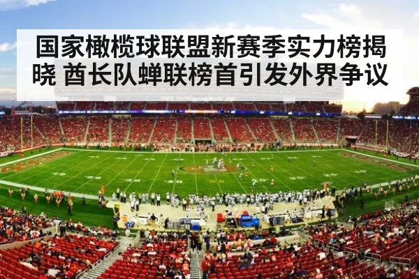 American football stadium crowd